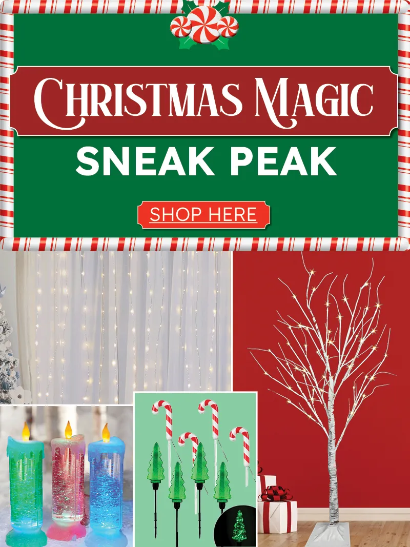 Christmas Magic Sneak Peak