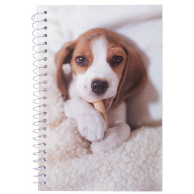 Chiot husky, mini cahier spirale, 240 pages, Fr