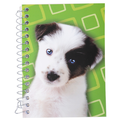 Chiot beagle, mini cahier spirale, 240 pages, Fr