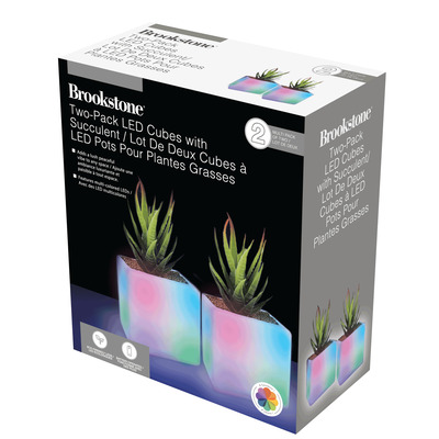 Brookstone LED Cube with succulent pk. of 2 Rossy