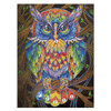 Craft Medley - Diamond painting canvas art kit, 12"x16" - Owl - 3