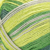 Bernat Softee Baby Stripes - Yarn, Frog Pond - 2