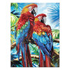 Craft Medley - Diamond painting canvas art kit, 12"x16" - Parrots - 3