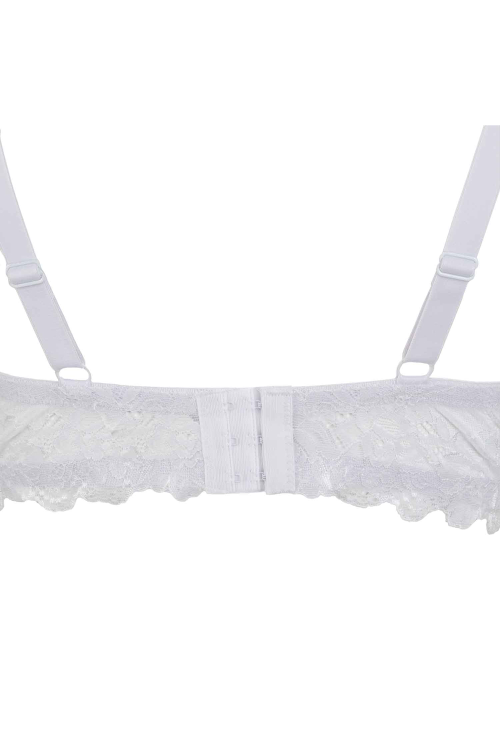 Lace Padded Push Up for Women Wireless See-through Crop Top bra – missrosy