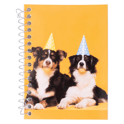 Border Collie, mini cahier spirale, 240 pages