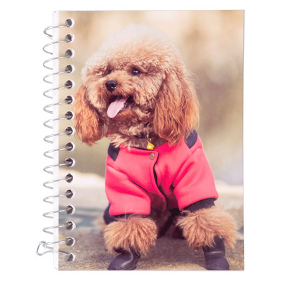 Chiot caniche, mini cahier spirale, 240 pages